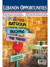 Cover image for Lebanon Opportunities